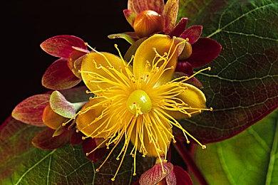 《无限暖暖》新实机演示 10月8日开启重逢之约测试